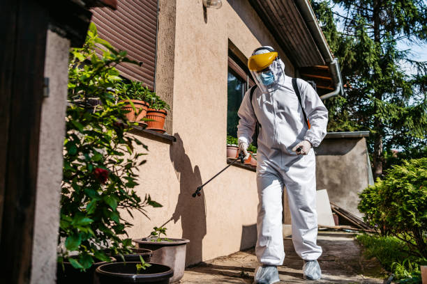 Best Rat Extermination Near Me  in Penryn, CA