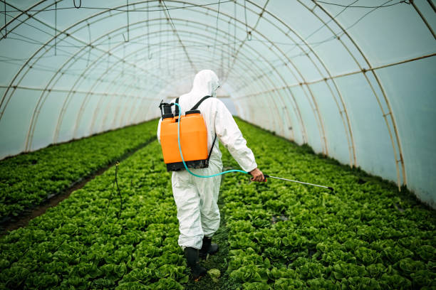 Best Local Pest Control Services  in Penryn, CA