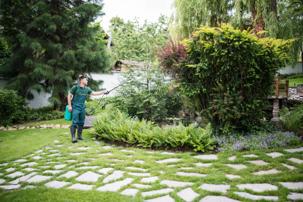 Best Pest Control Near Me  in Penryn, CA