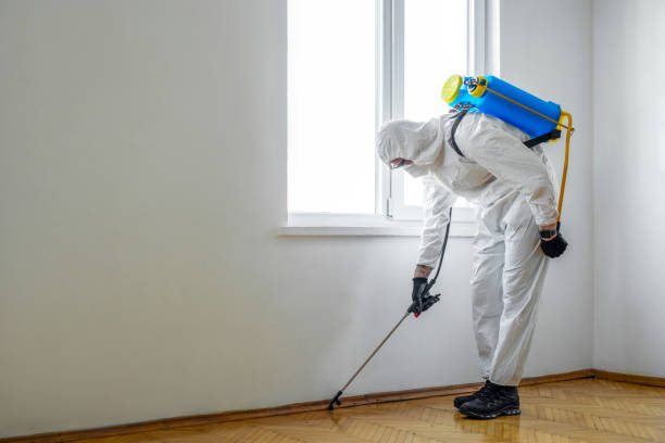 Trusted Penryn, CA Pest Control Experts