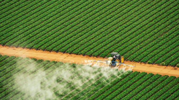 Best Pest Control for Homes  in Penryn, CA