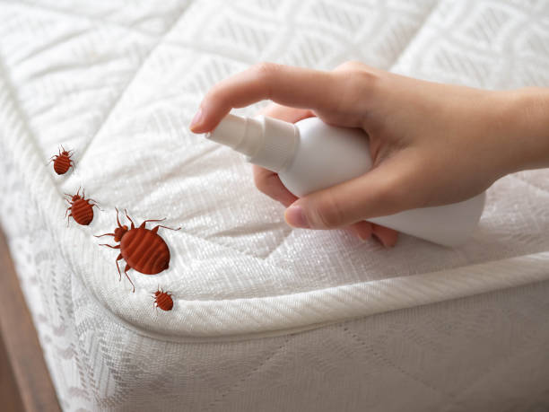 Best Residential Pest Control  in Penryn, CA