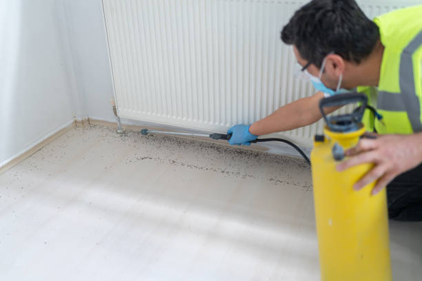 Best Pest Control for Businesses  in Penryn, CA