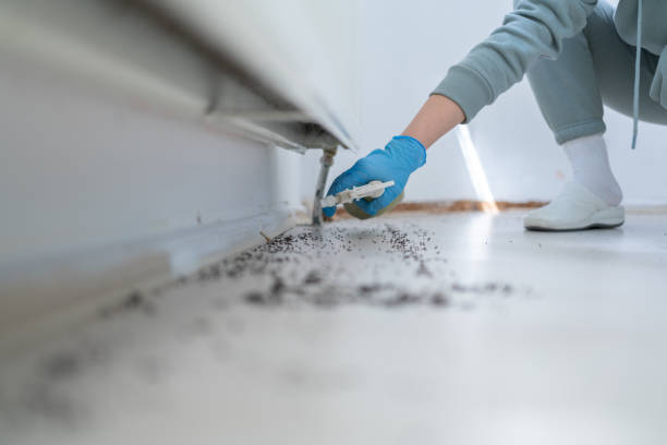 Best Bed Bug Extermination  in Penryn, CA
